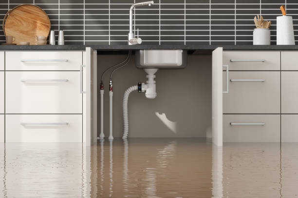 Best Flood restoration services  in USA